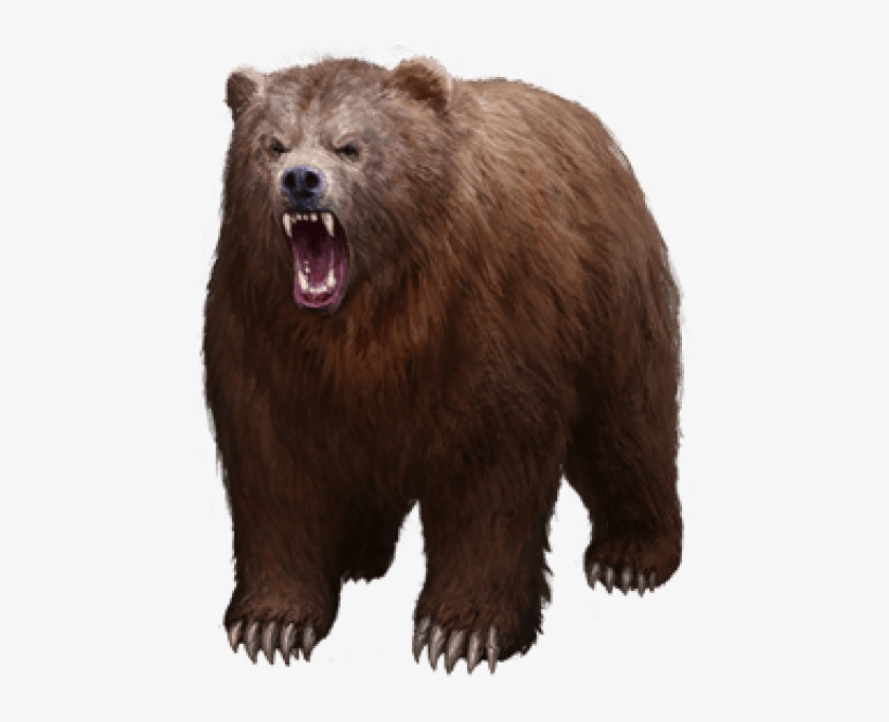 Detail Transparent Bear Nomer 14