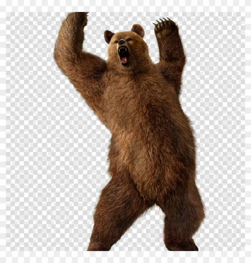Detail Transparent Bear Nomer 16
