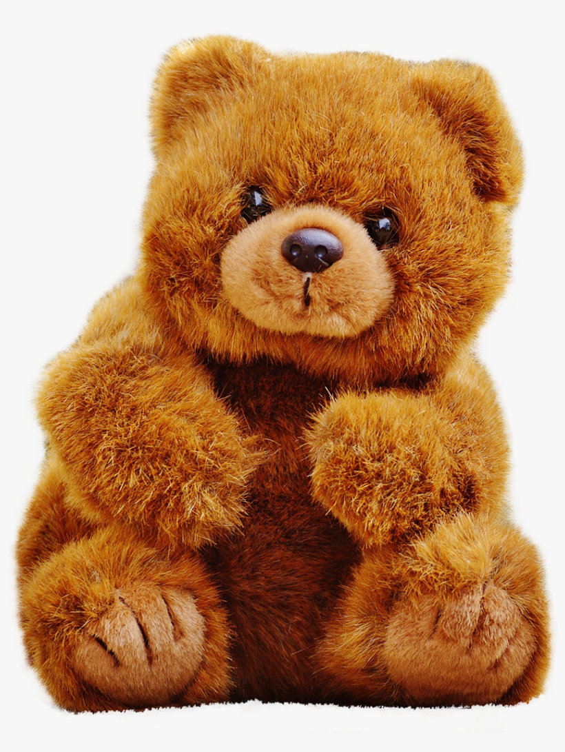 Detail Transparent Bear Nomer 29