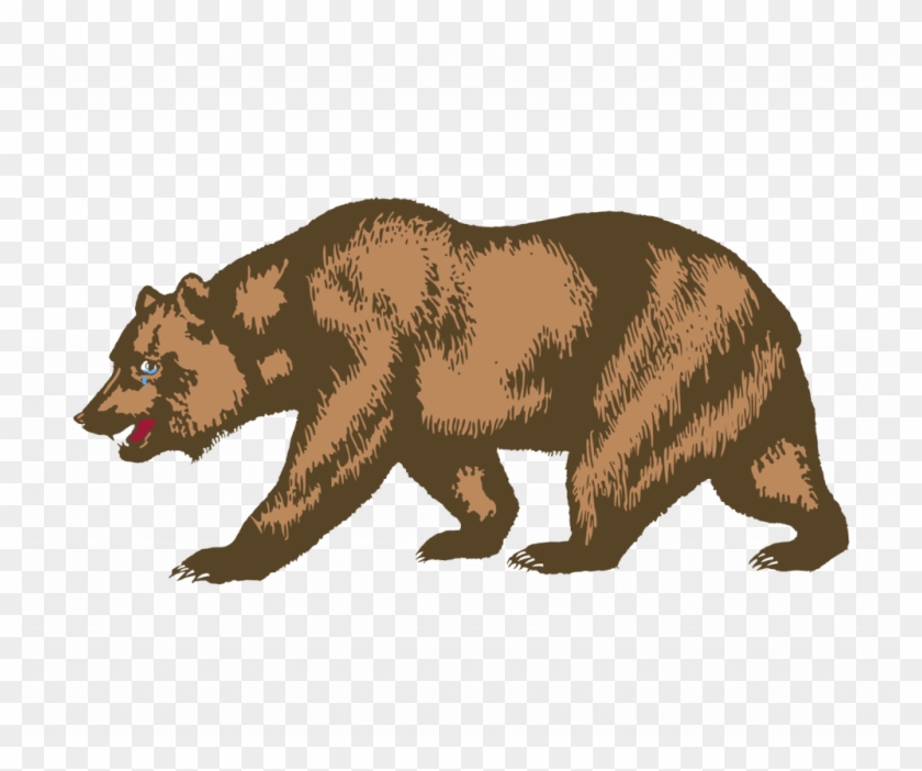 Detail Transparent Bear Nomer 33