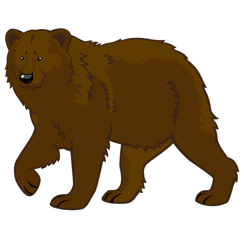 Detail Transparent Bear Nomer 41