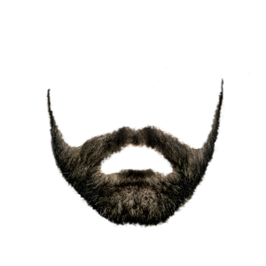 Detail Transparent Beard Png Nomer 11