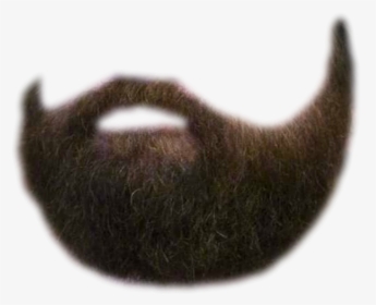 Detail Transparent Beard Png Nomer 20