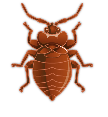 Detail Transparent Bed Bugs Nomer 33