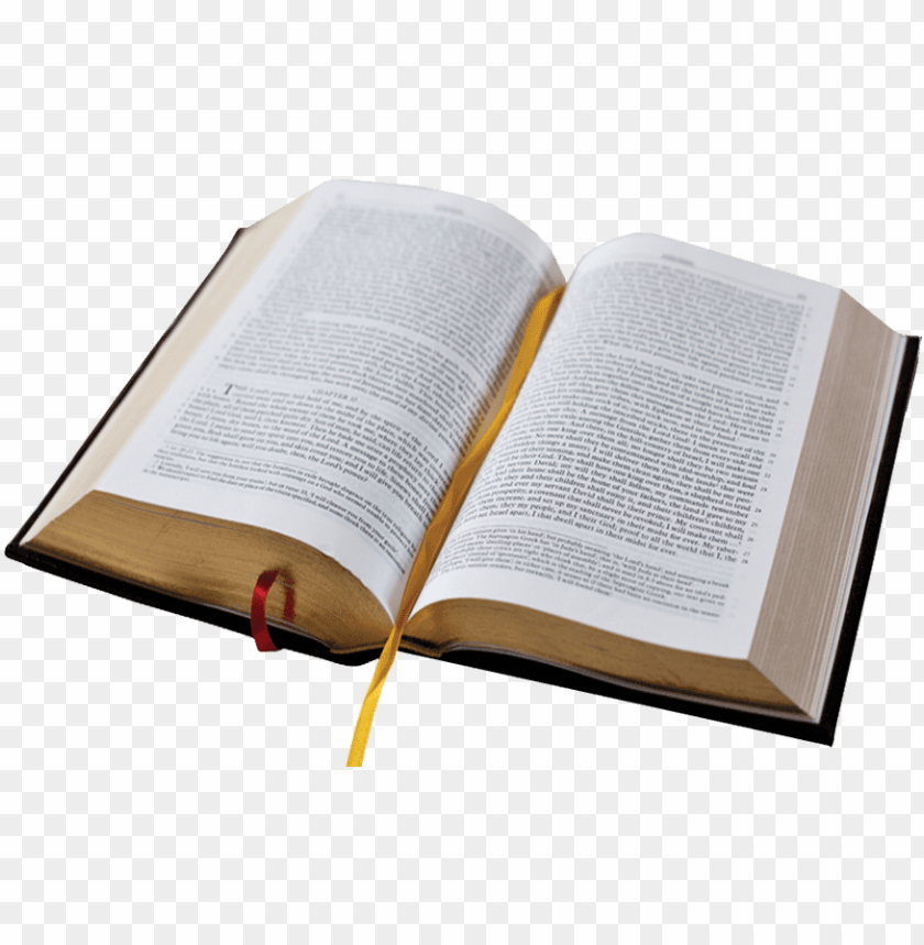 Detail Transparent Bible Nomer 2