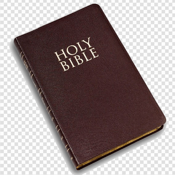 Detail Transparent Bible Nomer 6