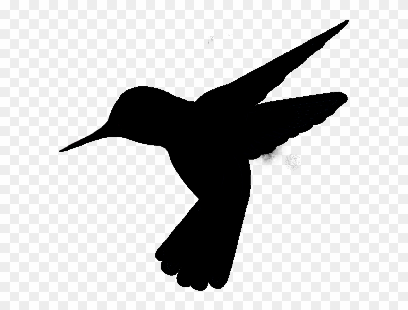 Transparent Black Hummingbird - KibrisPDR