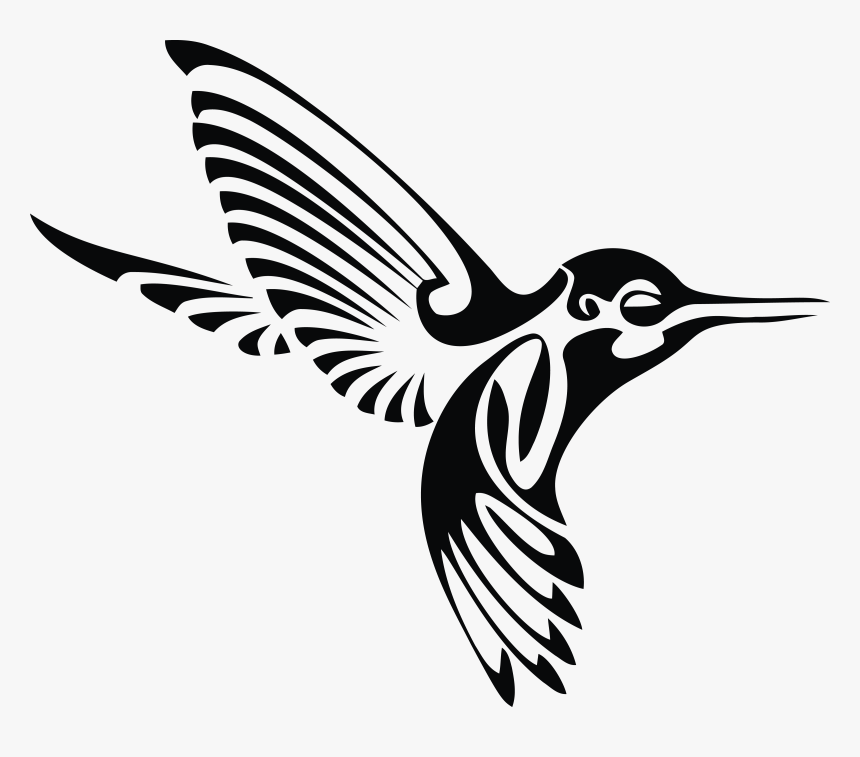 Detail Transparent Black Hummingbird Nomer 11