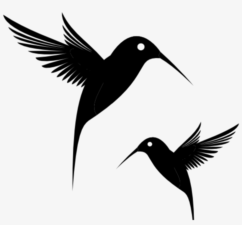 Detail Transparent Black Hummingbird Nomer 13