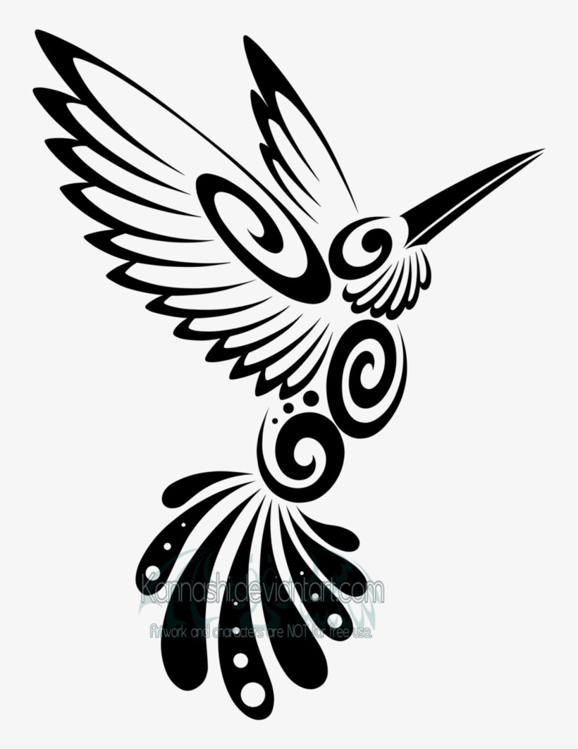 Detail Transparent Black Hummingbird Nomer 15