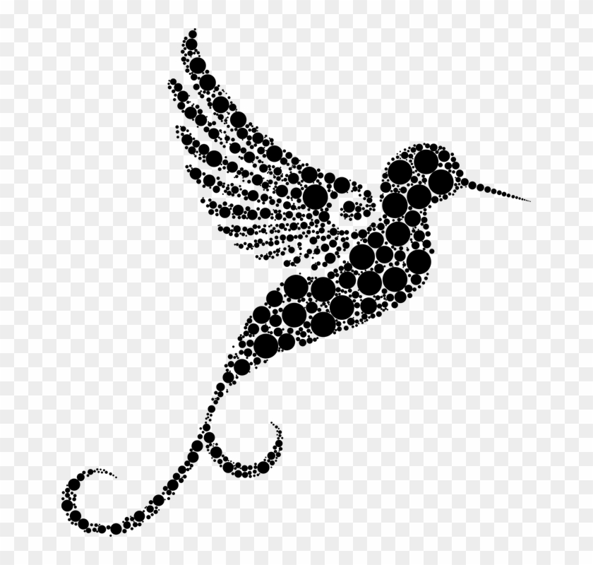 Detail Transparent Black Hummingbird Nomer 16