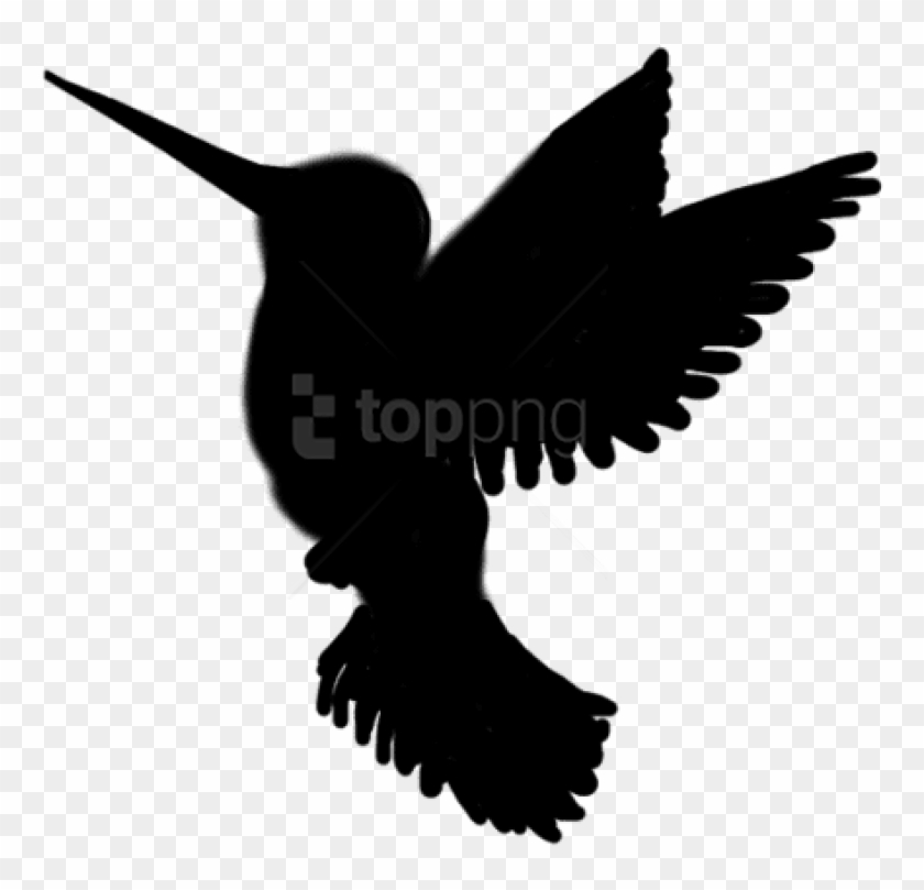 Detail Transparent Black Hummingbird Nomer 18