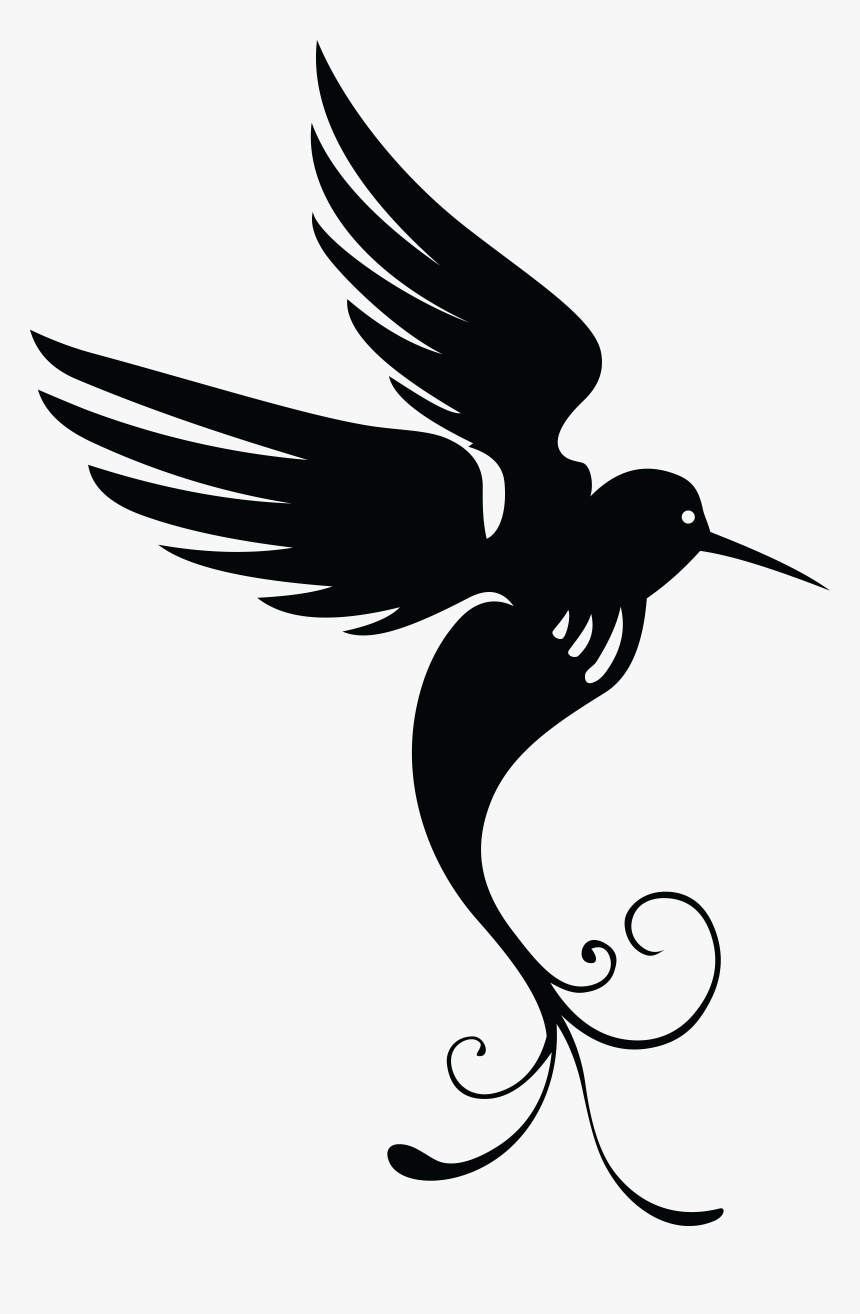 Detail Transparent Black Hummingbird Nomer 20