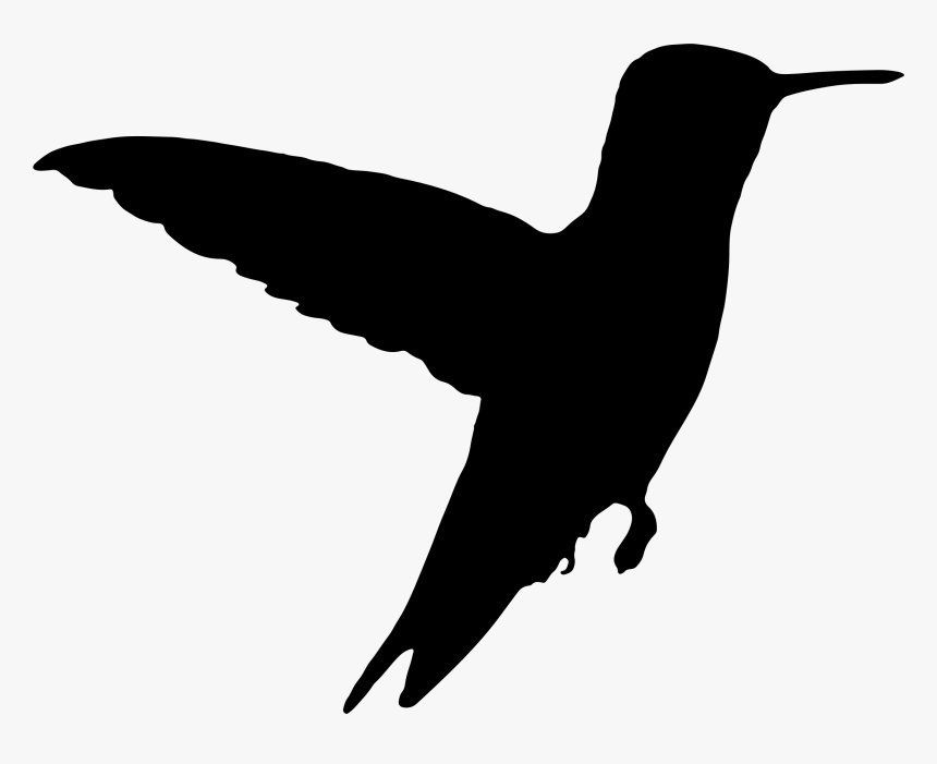 Detail Transparent Black Hummingbird Nomer 21