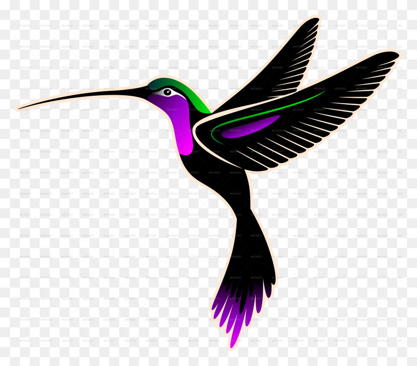 Detail Transparent Black Hummingbird Nomer 25