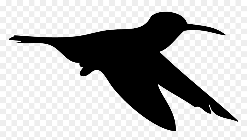 Detail Transparent Black Hummingbird Nomer 31