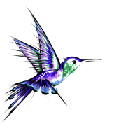 Detail Transparent Black Hummingbird Nomer 33