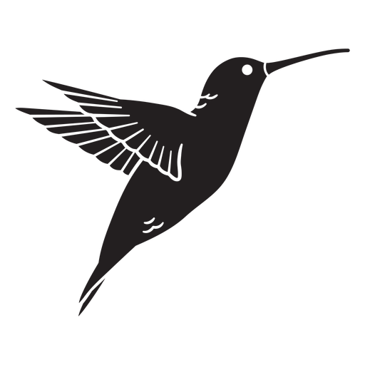 Detail Transparent Black Hummingbird Nomer 5