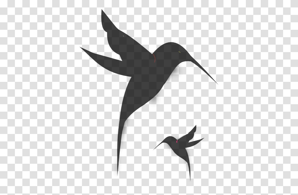 Detail Transparent Black Hummingbird Nomer 37