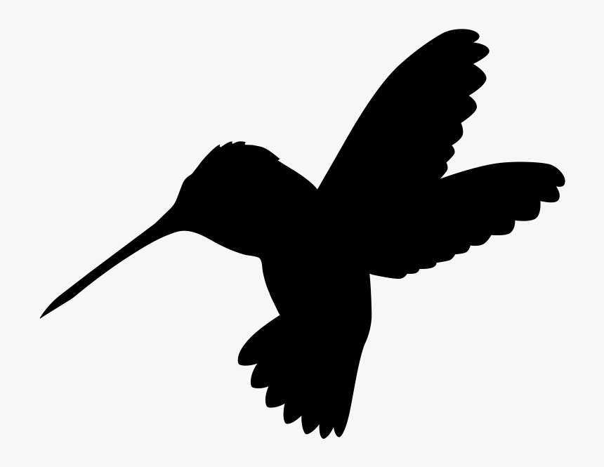Detail Transparent Black Hummingbird Nomer 39