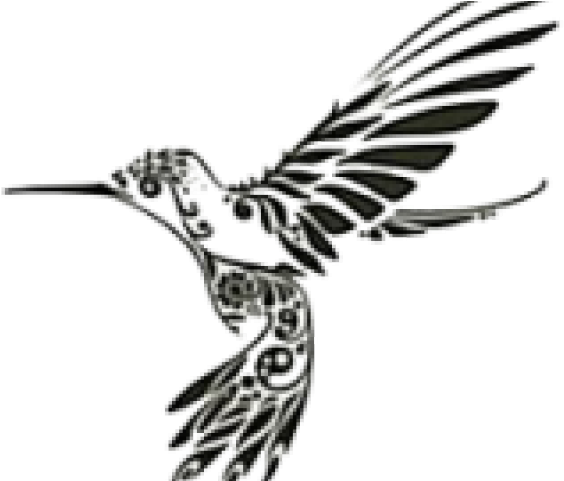 Detail Transparent Black Hummingbird Nomer 41
