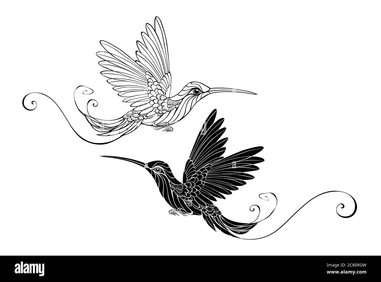 Detail Transparent Black Hummingbird Nomer 45