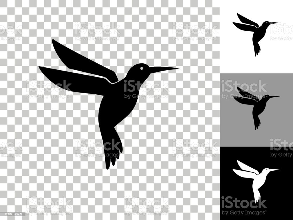 Detail Transparent Black Hummingbird Nomer 46