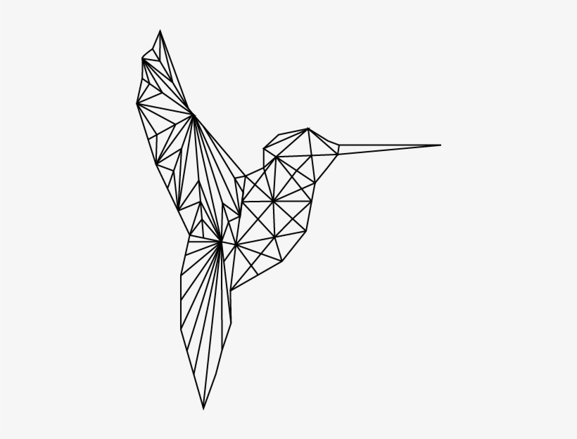 Detail Transparent Black Hummingbird Nomer 47