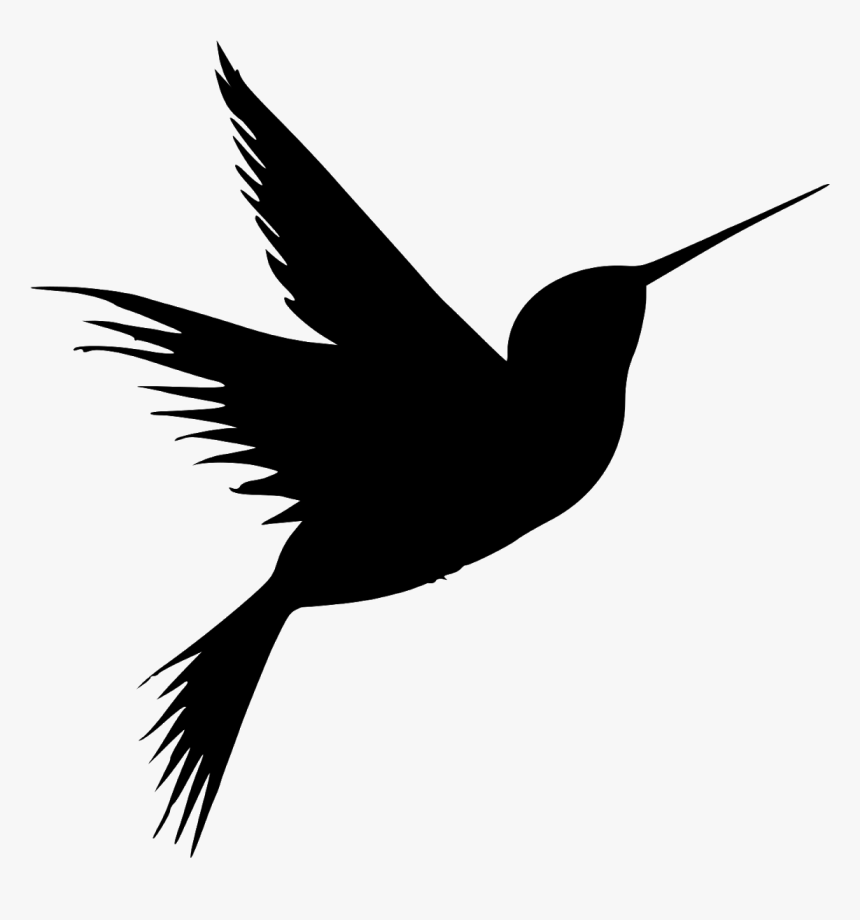 Detail Transparent Black Hummingbird Nomer 10