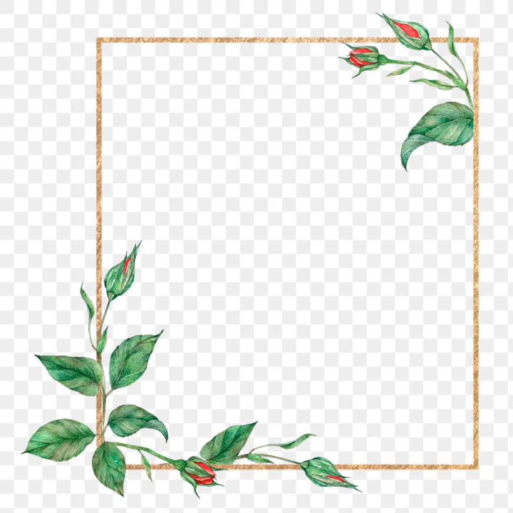 Detail Transparent Border Nomer 38