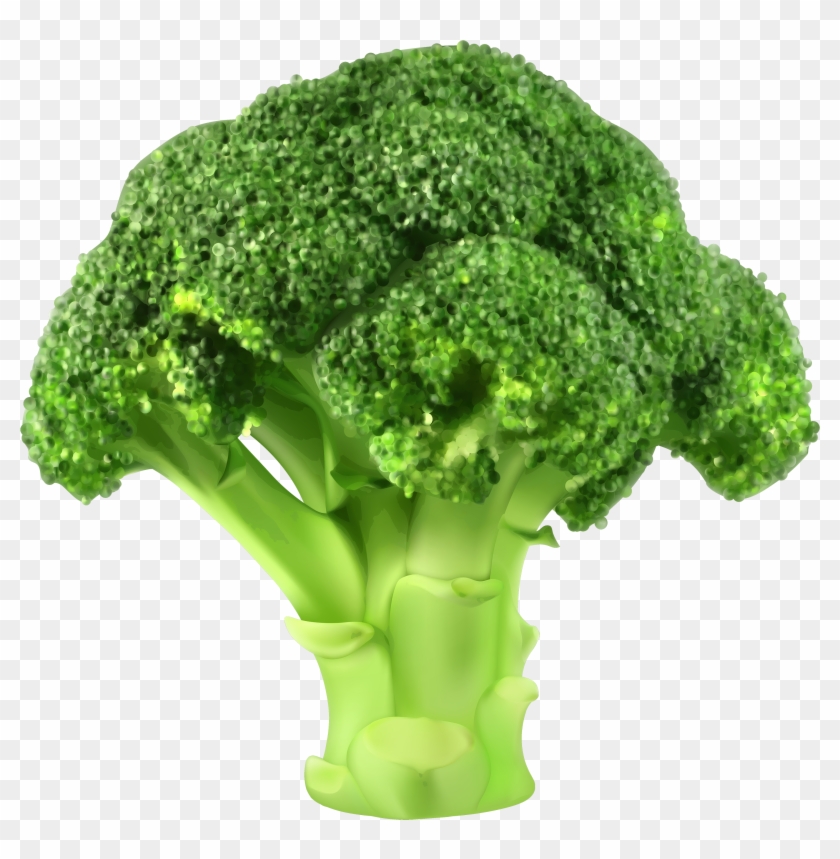 Detail Transparent Broccoli Nomer 7