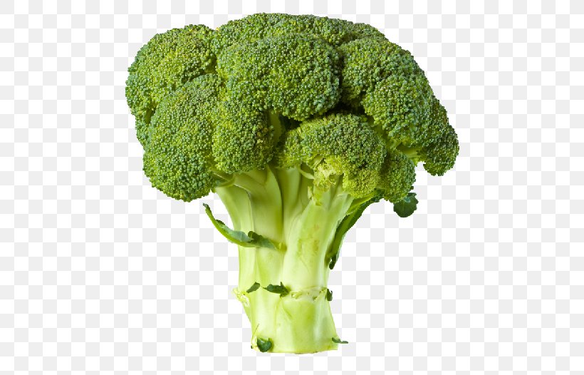 Detail Transparent Broccoli Nomer 13