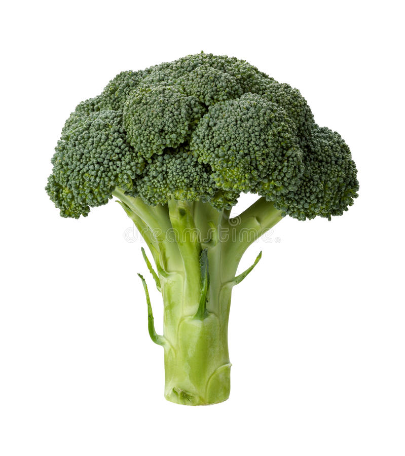 Detail Transparent Broccoli Nomer 17