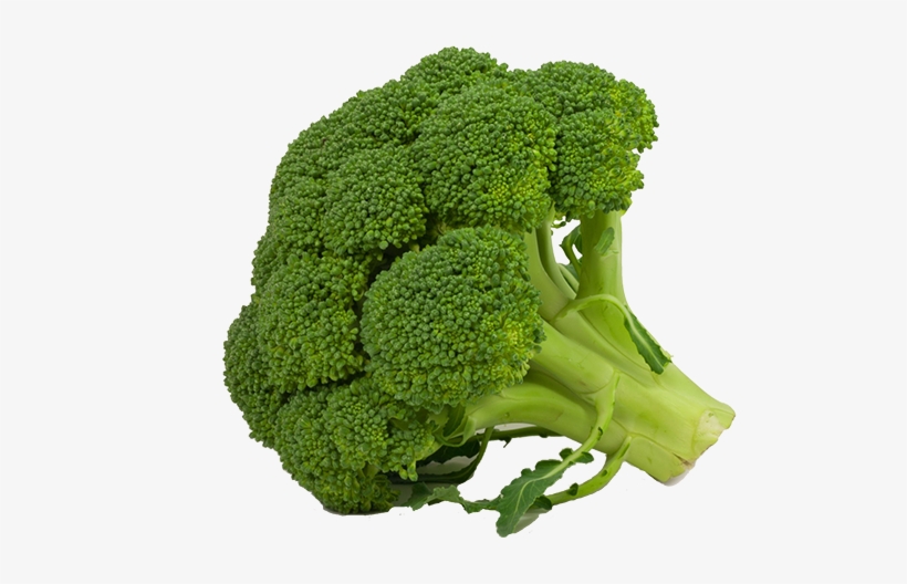 Detail Transparent Broccoli Nomer 27
