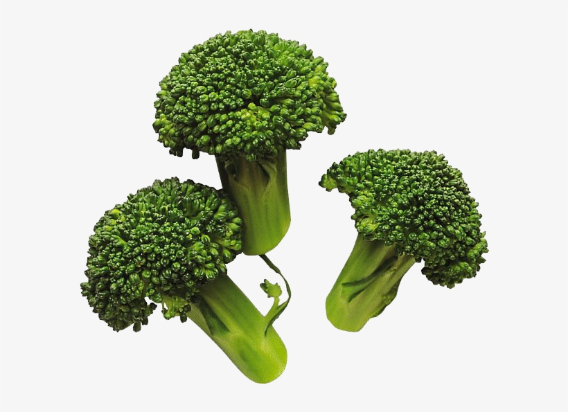 Detail Transparent Broccoli Nomer 38
