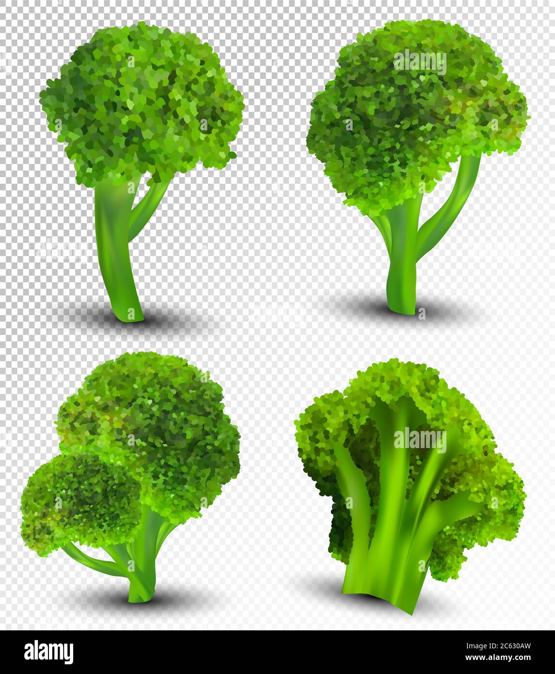 Detail Transparent Broccoli Nomer 39