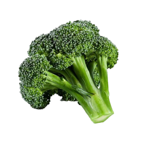 Detail Transparent Broccoli Nomer 40