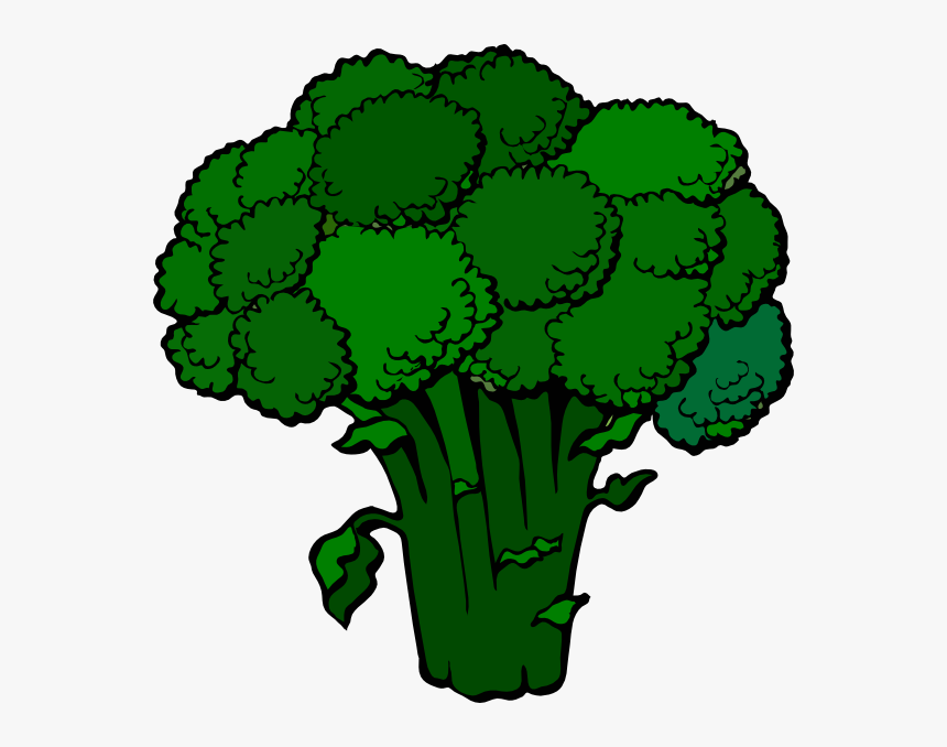 Detail Transparent Broccoli Nomer 42