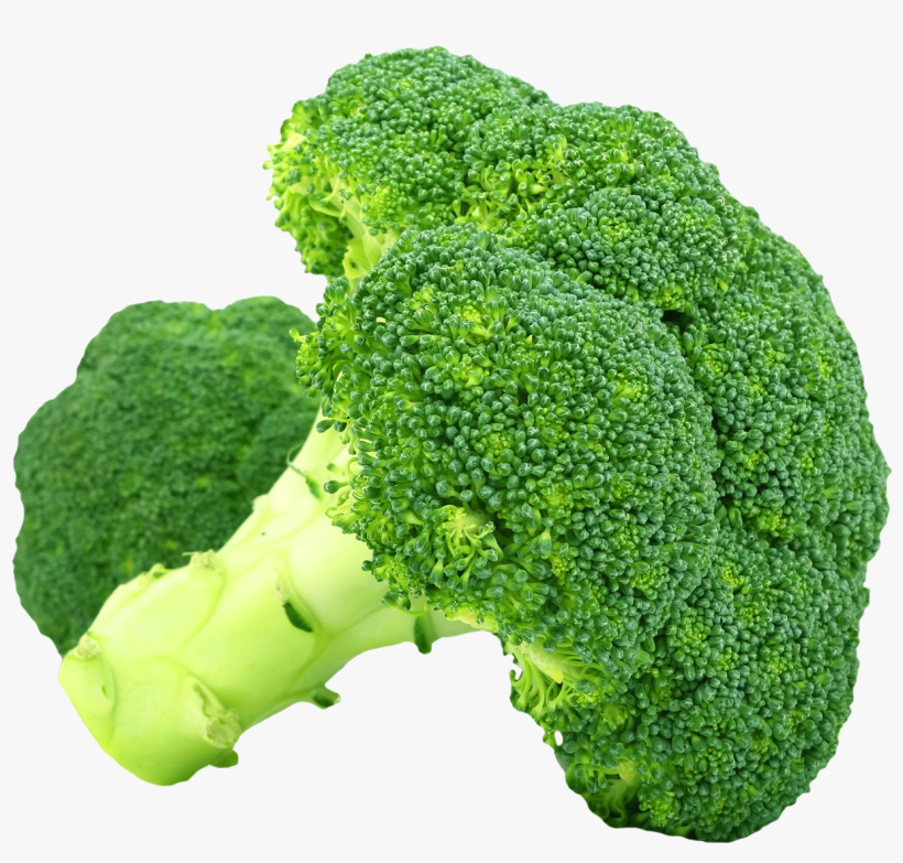 Detail Transparent Broccoli Nomer 45