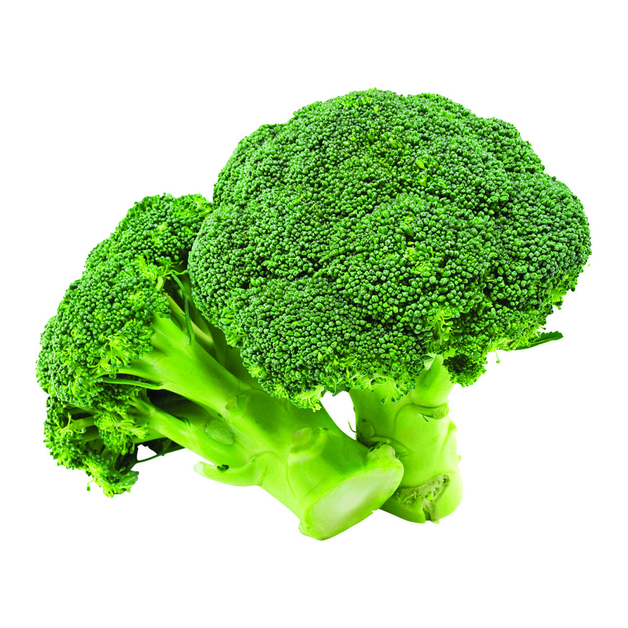 Detail Transparent Broccoli Nomer 5