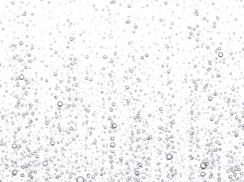 Detail Transparent Bubbles Nomer 33
