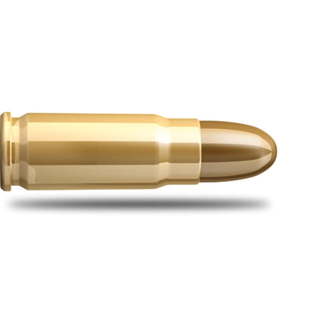 Detail Transparent Bullet Nomer 31
