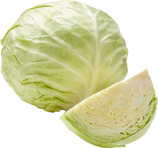 Detail Transparent Cabbage Nomer 12
