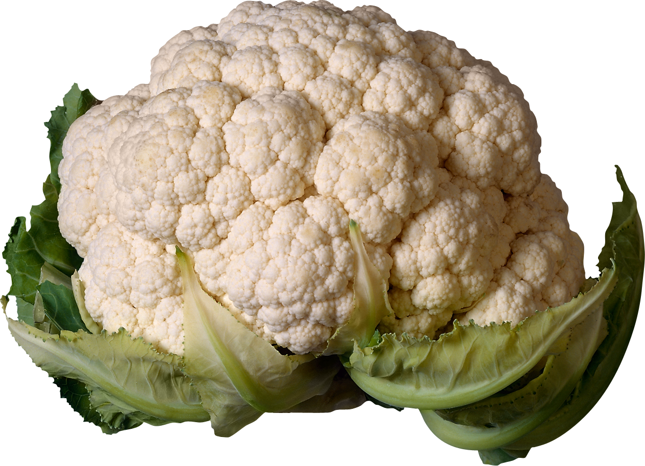 Detail Transparent Cabbage Nomer 25