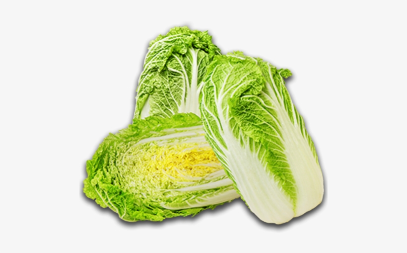 Detail Transparent Cabbage Nomer 42