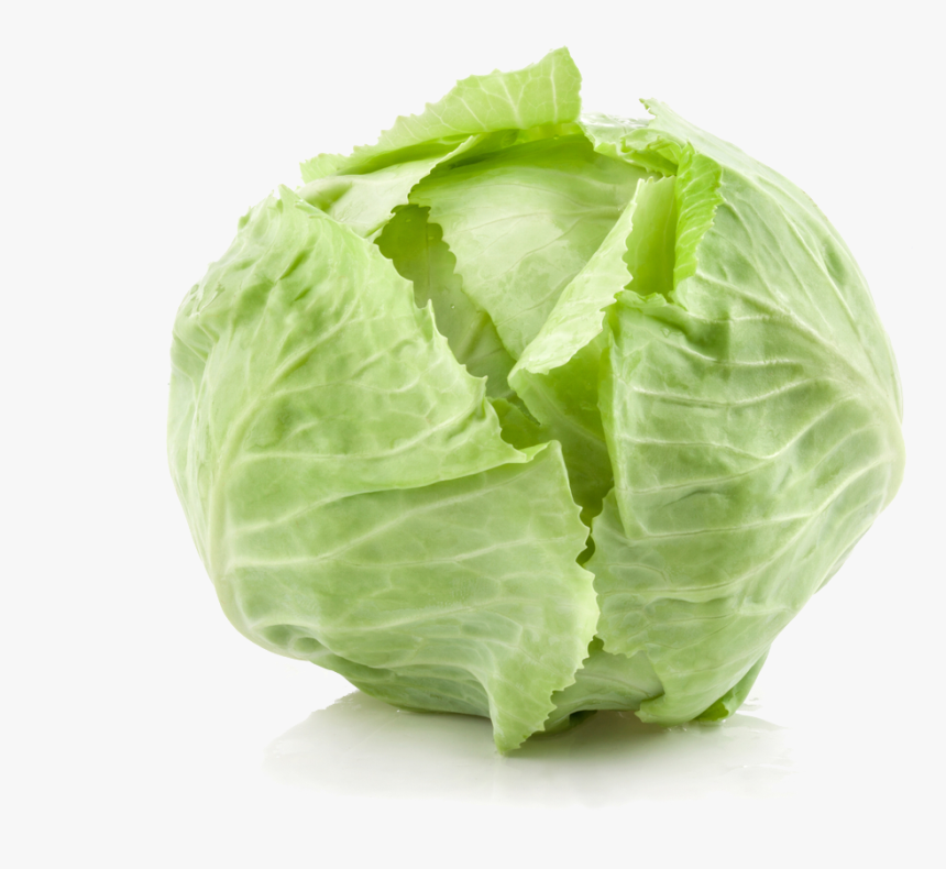 Detail Transparent Cabbage Nomer 9