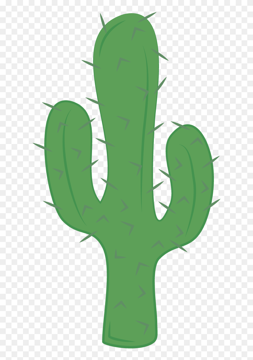 Detail Transparent Cactus Nomer 15