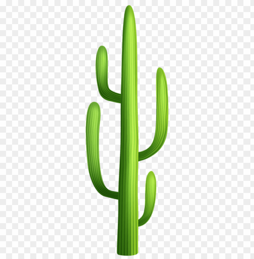 Detail Transparent Cactus Nomer 19