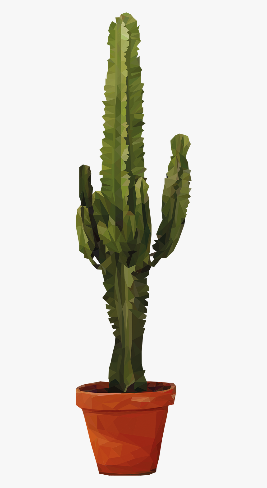Detail Transparent Cactus Nomer 36