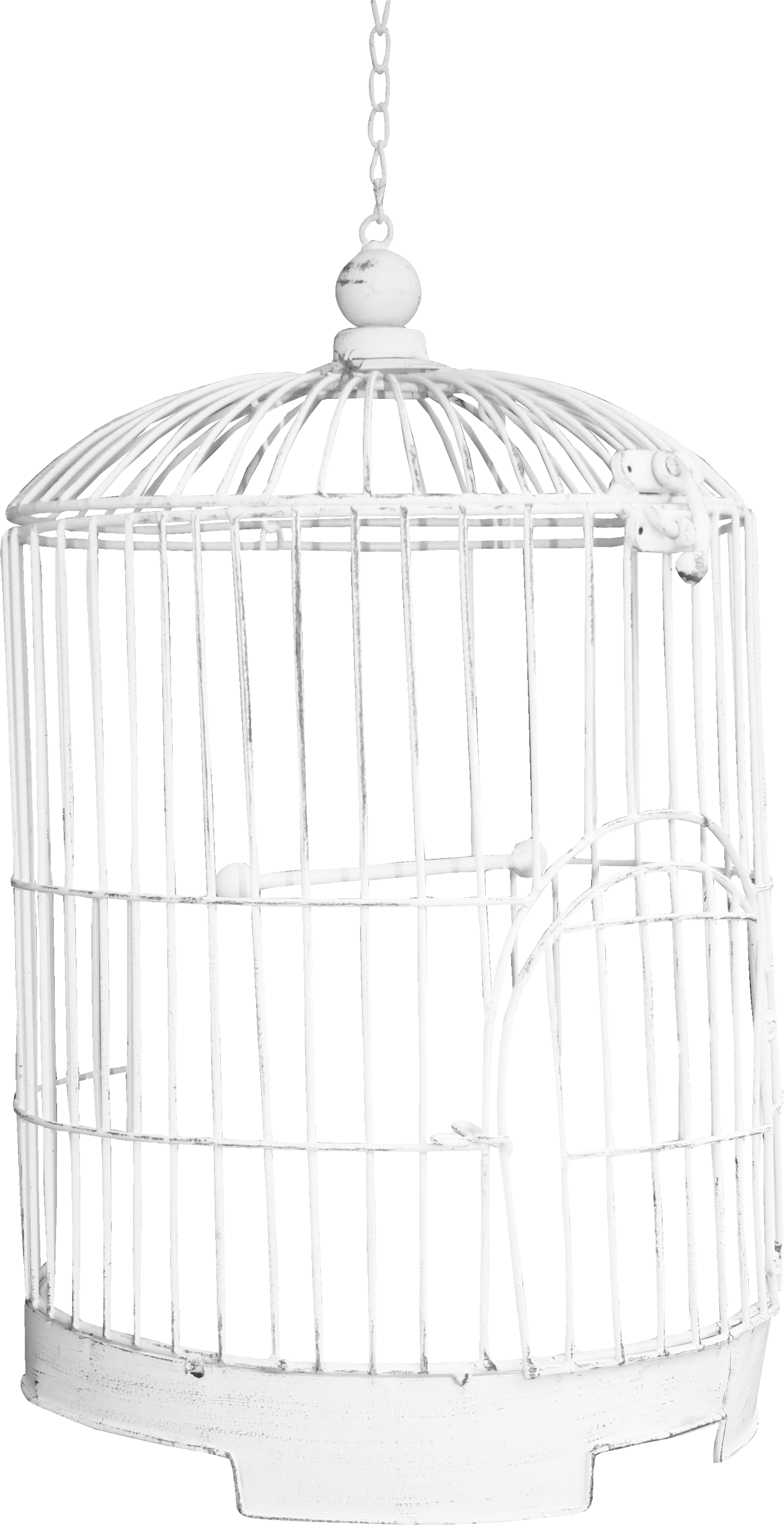 Detail Transparent Cage Nomer 11